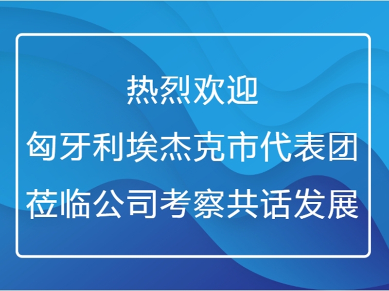 熱烈歡迎匈牙利埃杰克市代表團蒞臨公司考察共話發展
